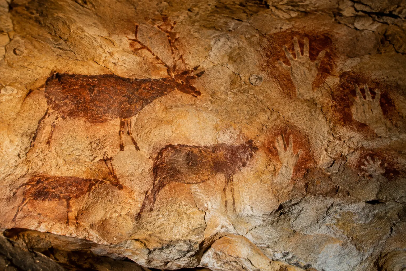 Prehistoric Cave Art: Messages Across Millennia